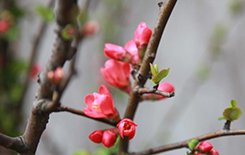 0311-80789670 邮编